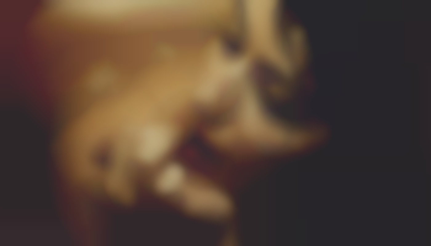 Comment le streaming a transformé la consommation de contenu pour adultes ?