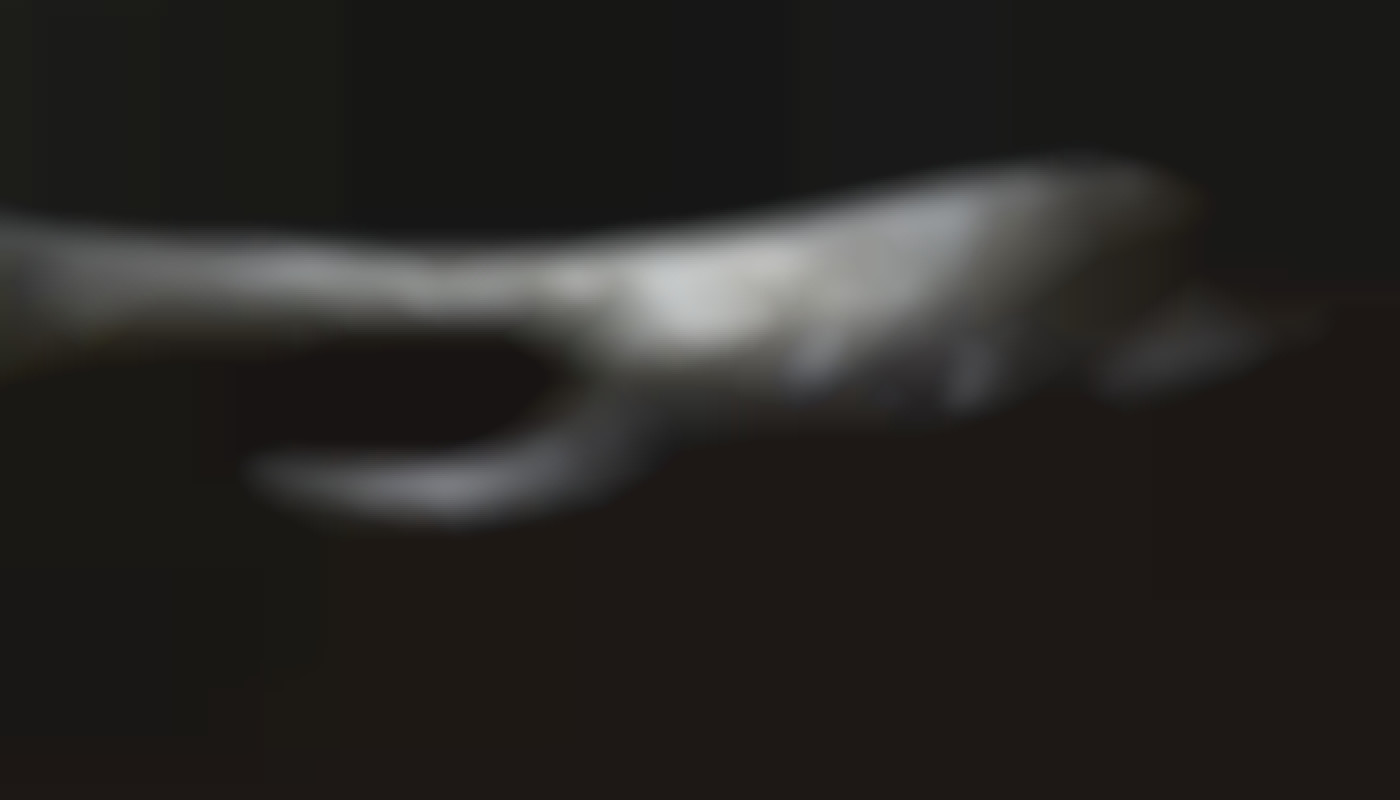 Exploration des tabous : comprendre l'attrait du fétichisme scatologique